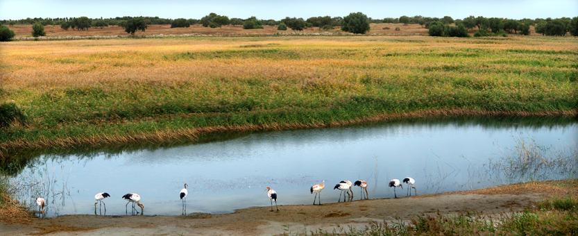 DSC_6271j ����.jpg