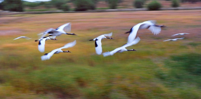 DSC_6228j ����.jpg