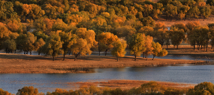 _LFA0085j ����.jpg