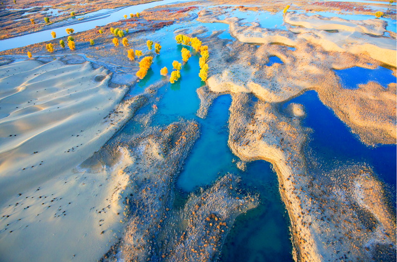 4     DSC_6562 (2).jpg