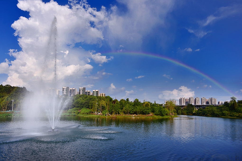 DSC_3966 ����.jpg