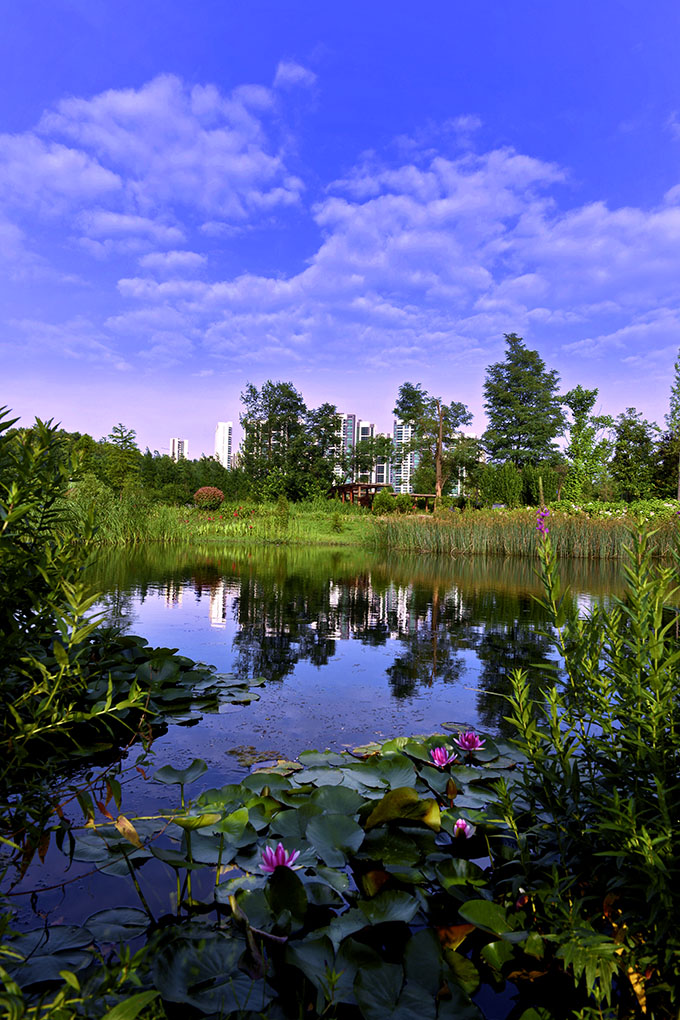 DSC_3029 ����.jpg