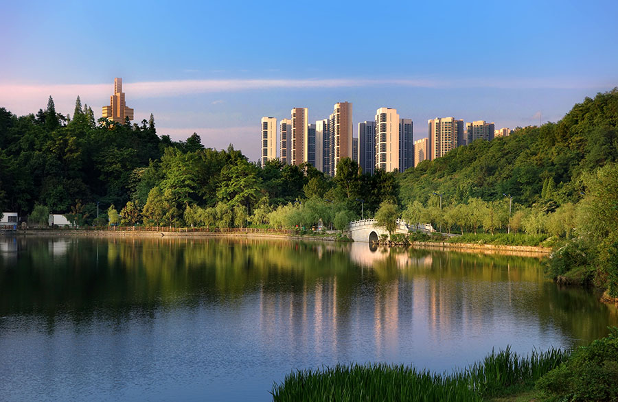 DSC02500 ����.jpg