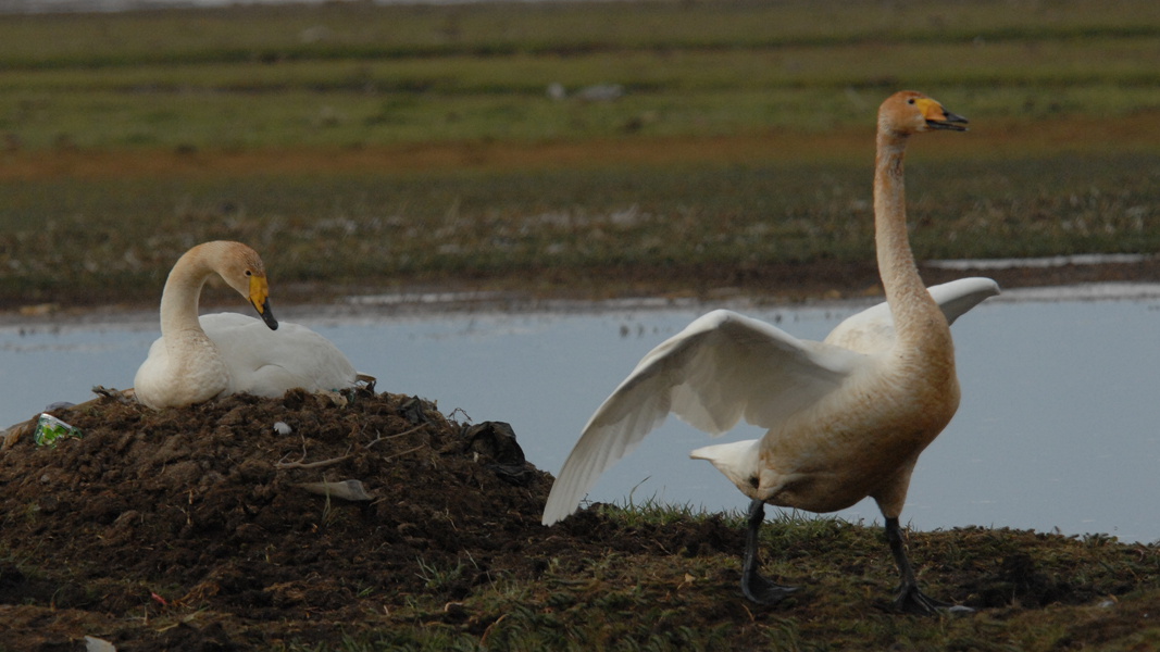 �������