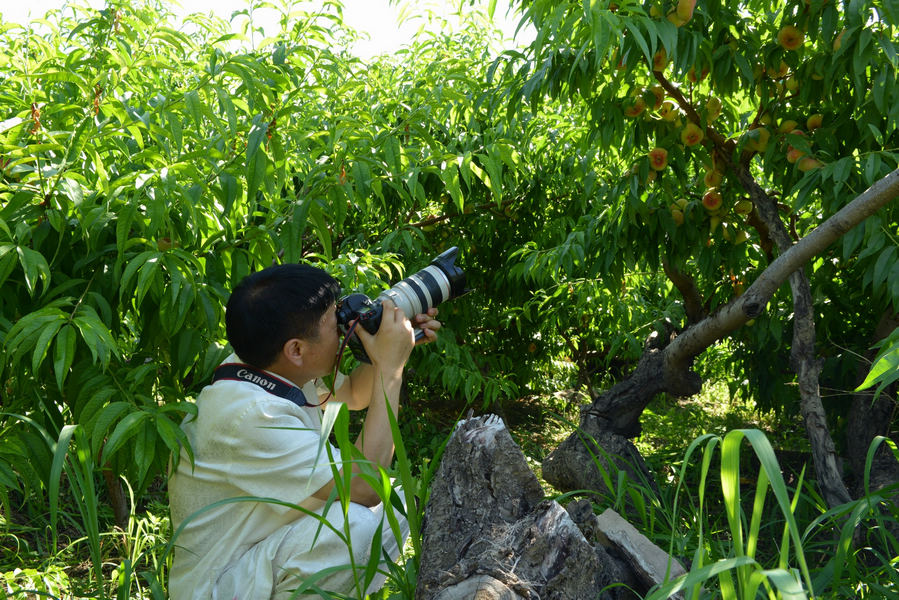 ����ϯ�����԰