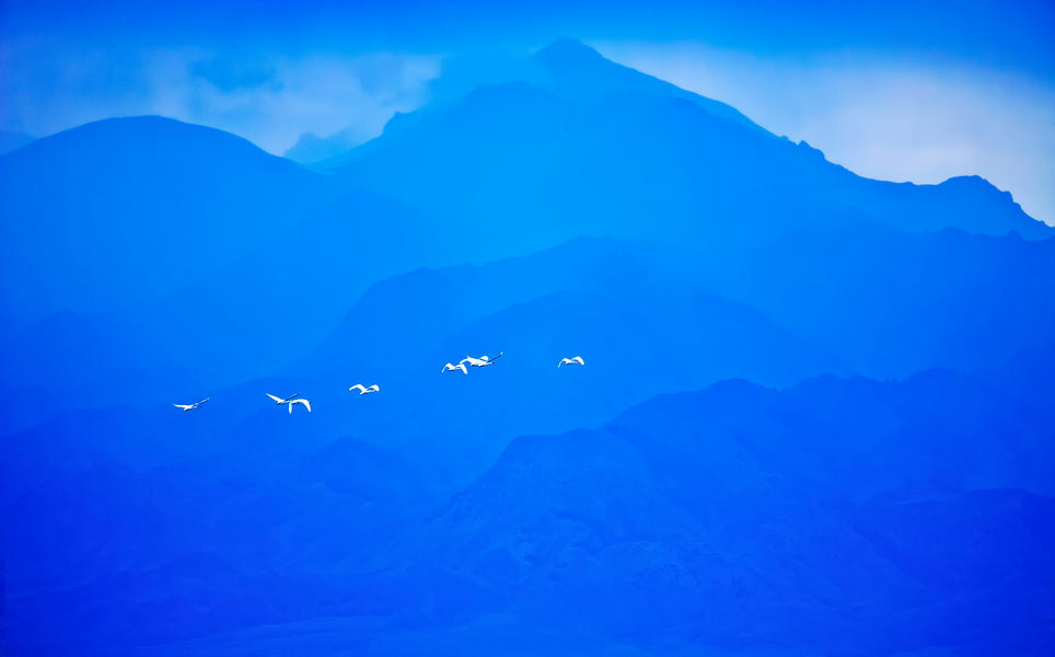 ��ɫ����   ��־��