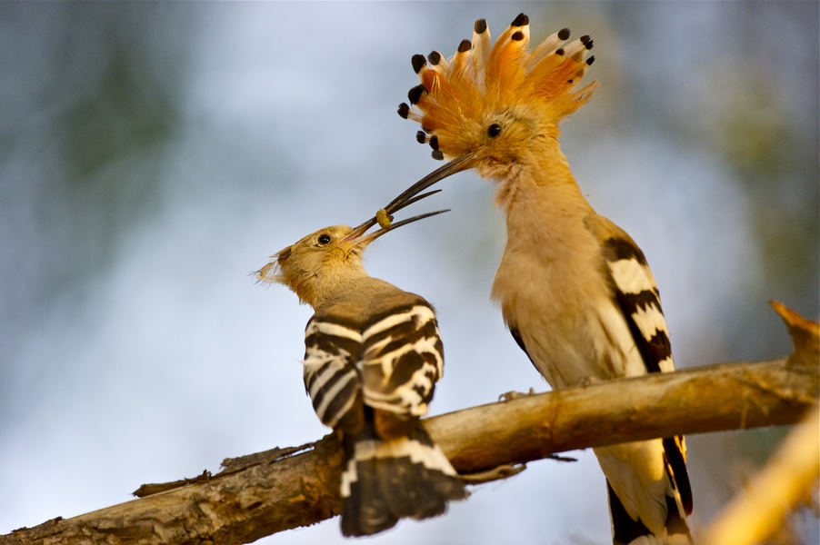 10.��    ������.jpg