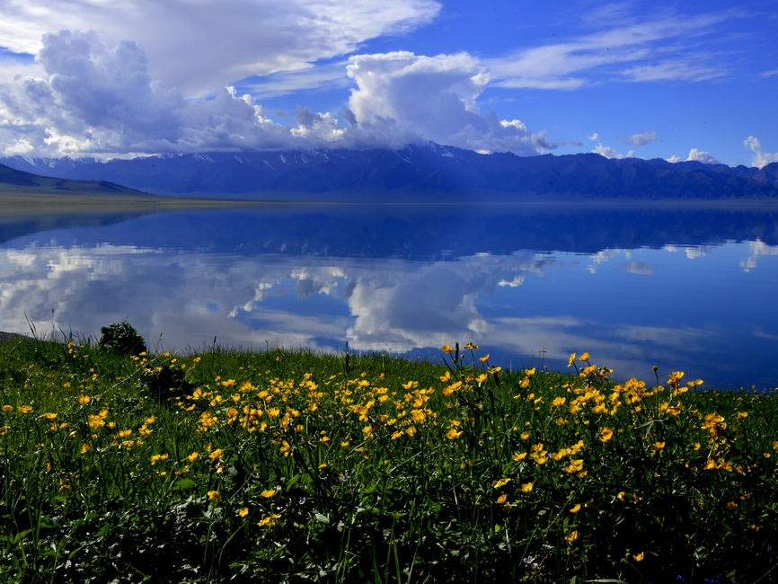 019.ɽ����������ľ��       ����.jpg