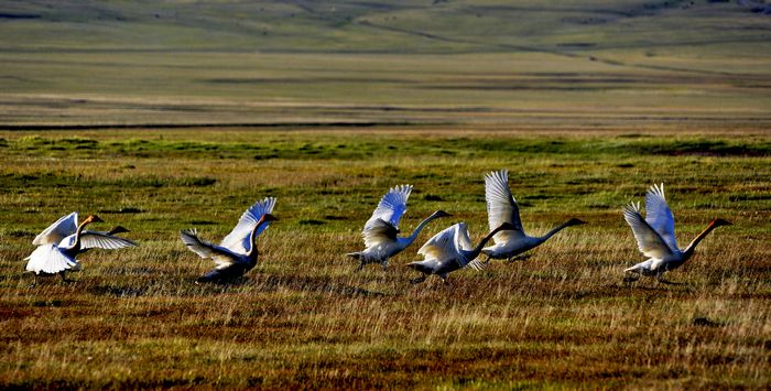 12.��Χ  ���չ��  ��Ծ.jpg