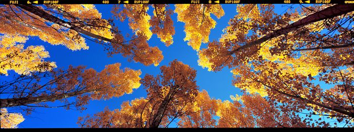 13.��Χ  ��ɫ����Ũ ����.jpg