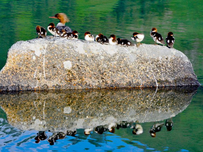 08.��Χ  СϢ  ��Ծ.jpg