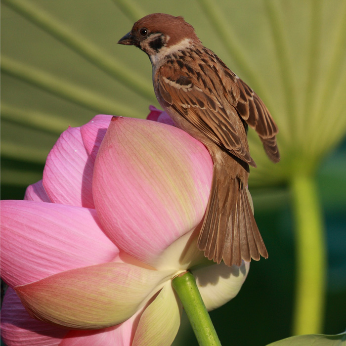 a IMG_9927����.jpg