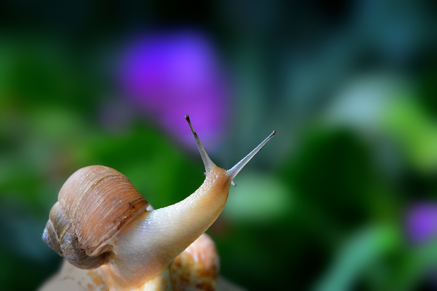 DSC_5734 ����.jpg