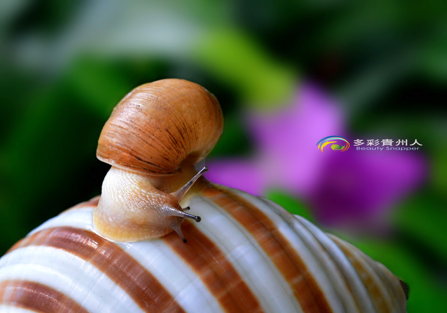 DSC_5621 ����.jpg