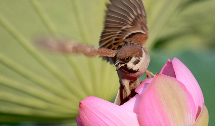 00 ȸ�ֺ��� IMG_9934.jpg