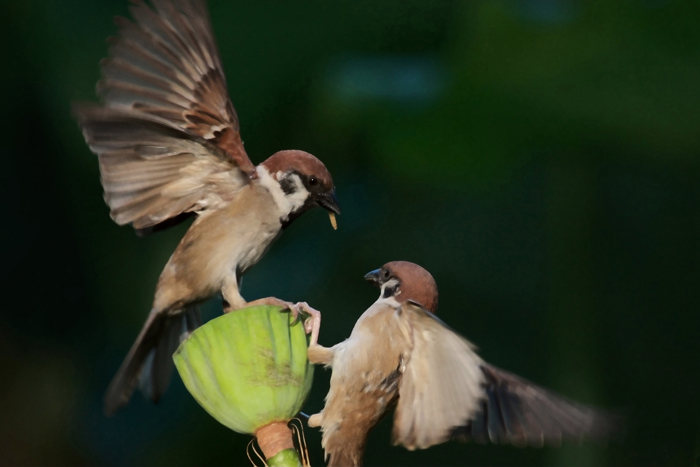 00 ȸ�ֺ��� IMG_0017.jpg