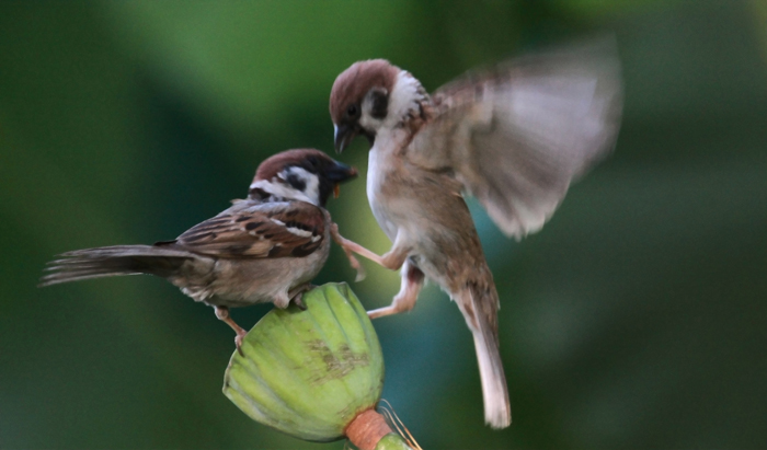 00 ȸ�ֺ��� IMG_0046.jpg