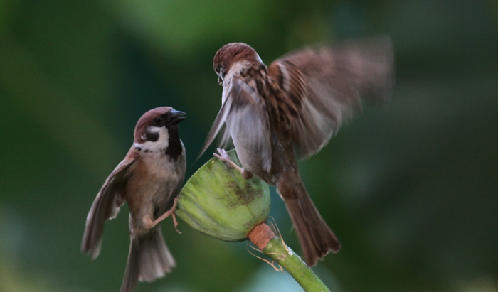 00 ȸ�ֺ��� IMG_0102.jpg