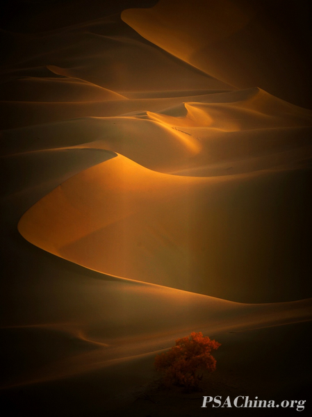 05.��Ծ��Ʒ��������������Life zone.jpg