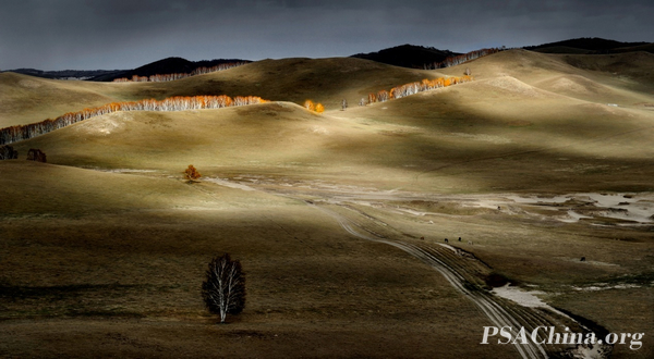 01.��ѧ����Ʒ�����＾������Autumn pasture.jpg