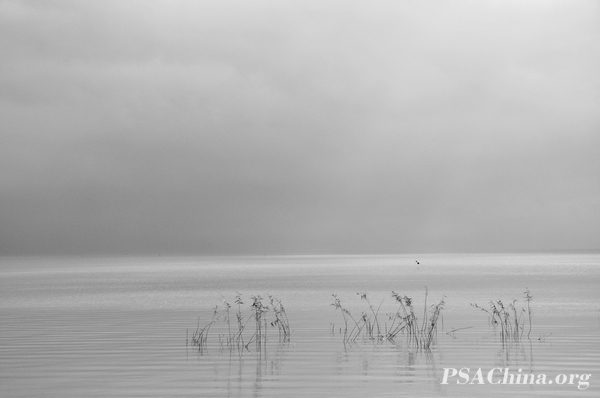 11.�˽�����Ʒ����������̫����Still Taihu lake.jpg