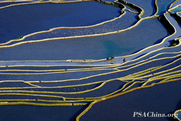 14.��������Ʒ������԰ʫ.4��Pastoral poetry.4.jpg