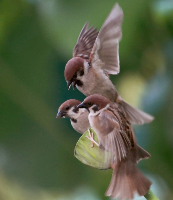 00 ����ȸ�� IMG_0101.jpg