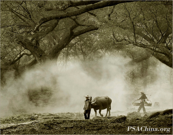 01.������Ʒ�����չ���Call It A Day.jpg