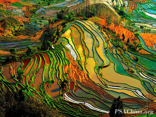 04.��Ծ��Ʒ����������ɡ�Rhythm of the earth.jpg