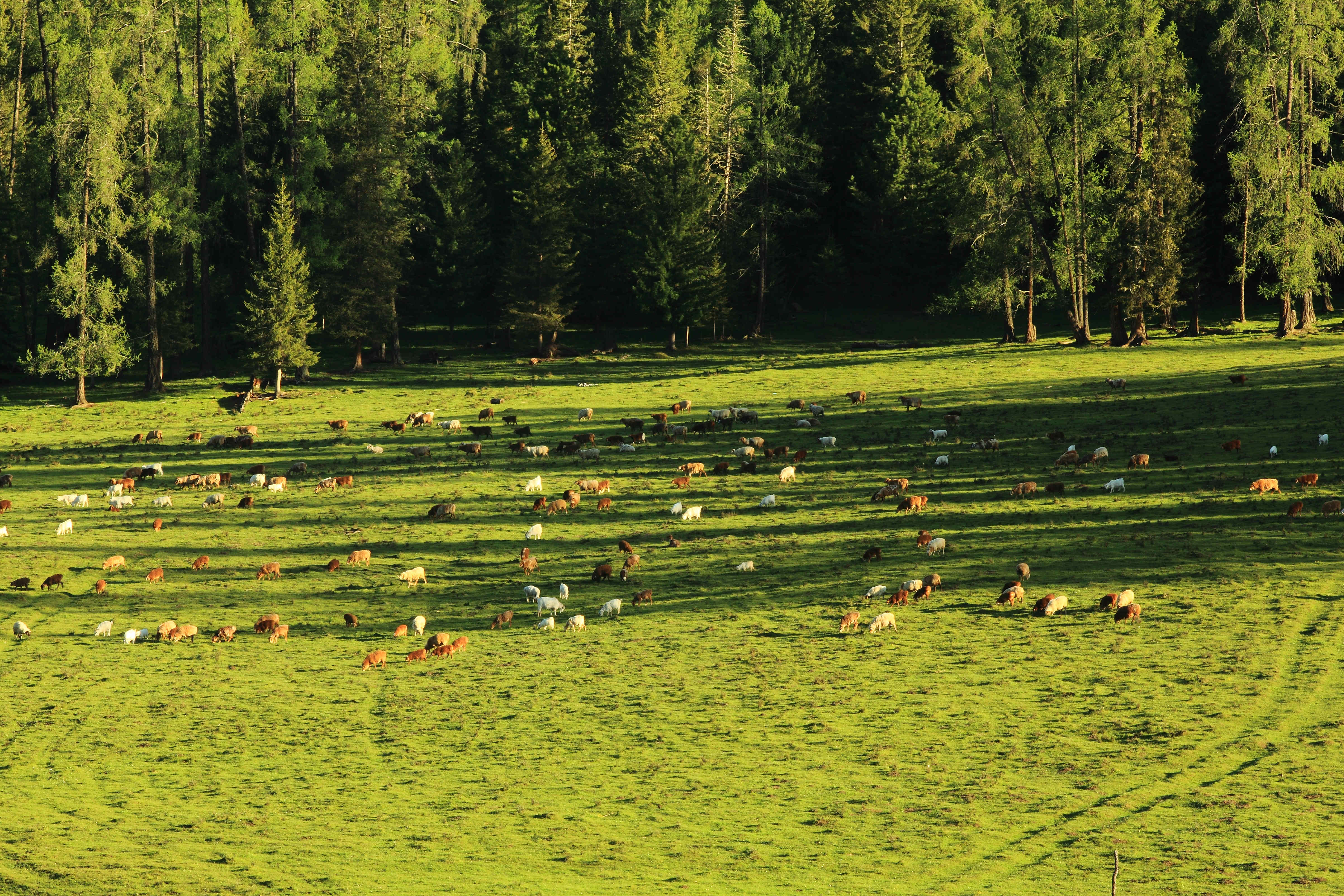 ��ԭ����