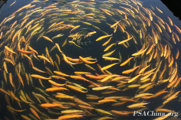 15.��������Ʒ����������Deal with.jpg