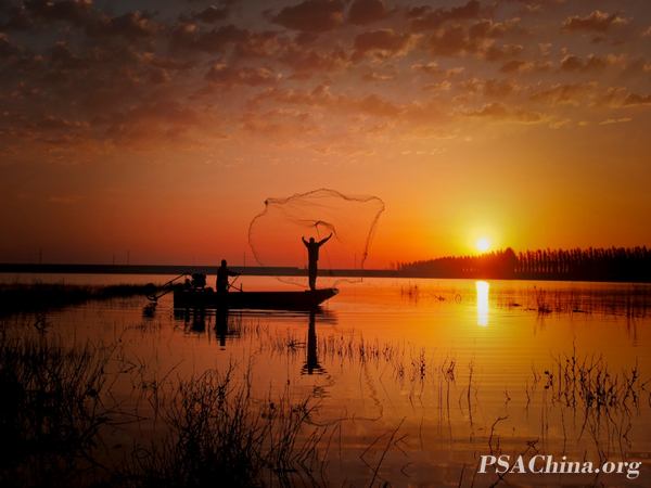 22.ۨ������Ʒ������衷Fish song.jpg