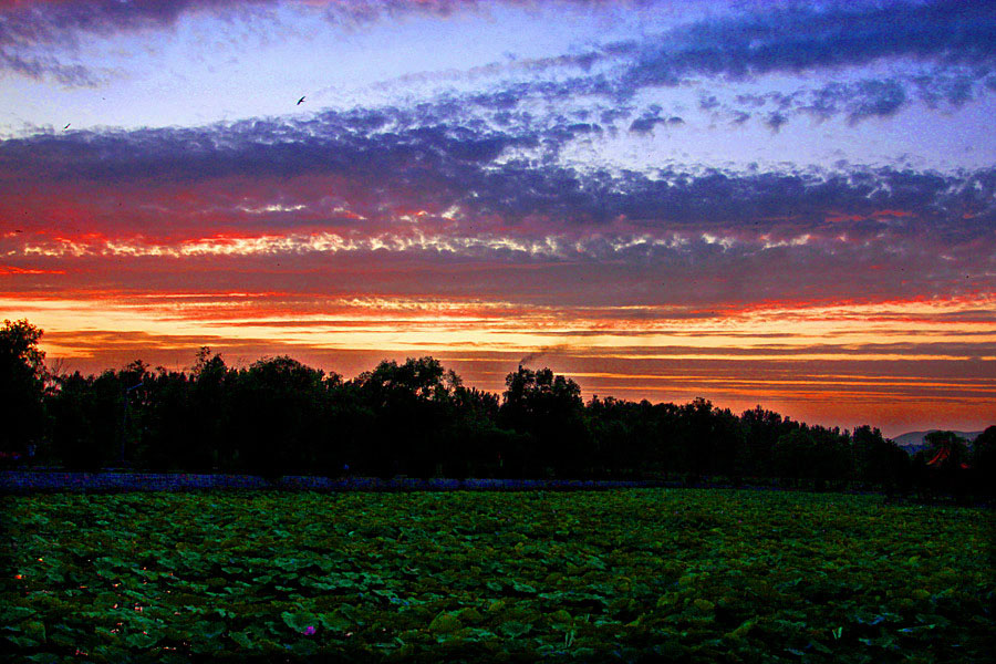 ٻӰ 281_����.jpg