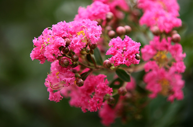 ��Ƭ 231_����.jpg