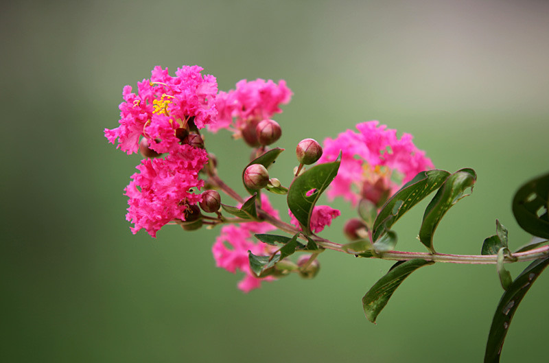 ��Ƭ 233_����.jpg