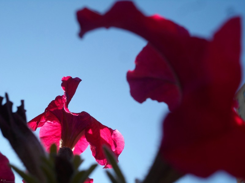 ��³ľ�����A�� 011.jpg