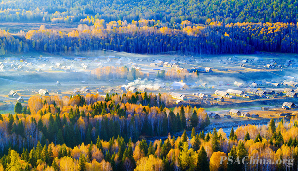 09.��־����Ʒ������ľ��ɫ��Autumn grasses.jpg