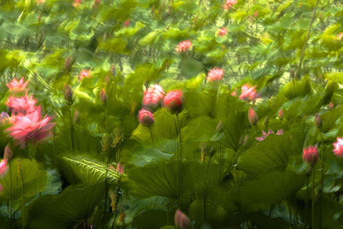 ��ӿ�ɻ���