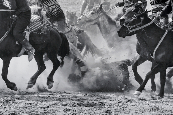 07.��־����Ʒ����߶����ʿ��Hundred sheep Warriors.jpg