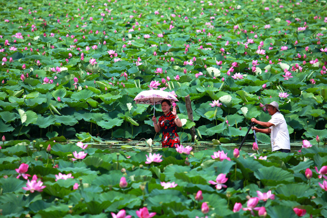 ����ɻ���ӳ��