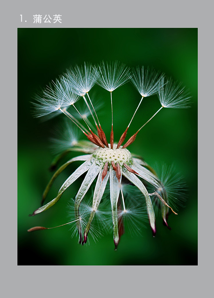 1.DSC_4839 �� ����.jpg