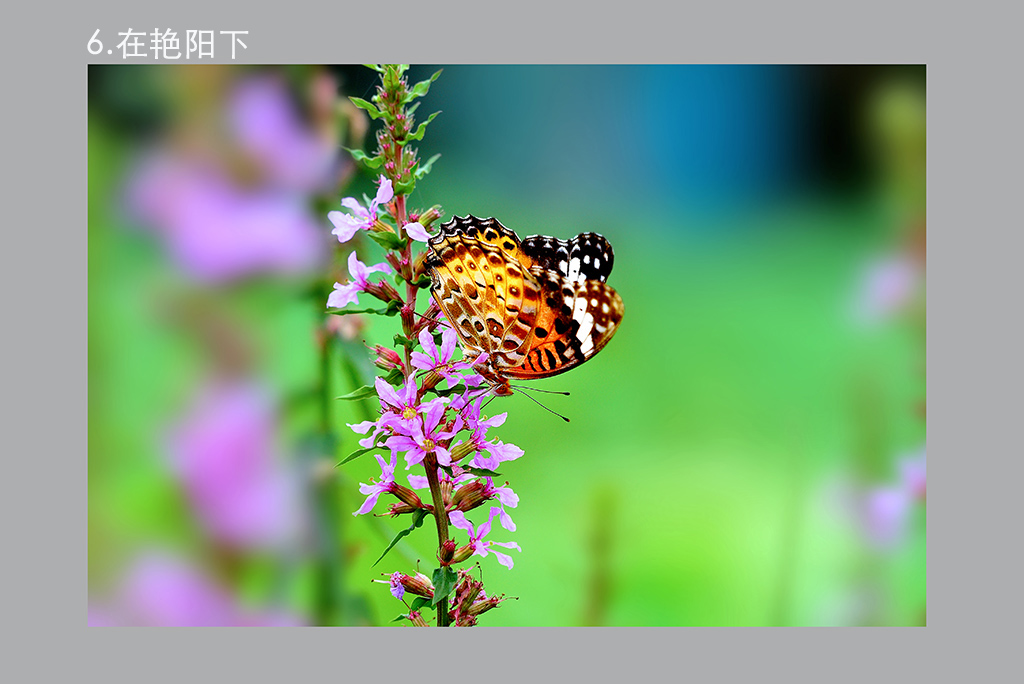 5.DSC_0199 �� ����.jpg