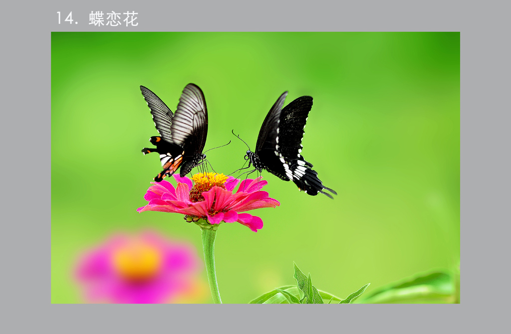 9.DSC0148 �� ����.jpg