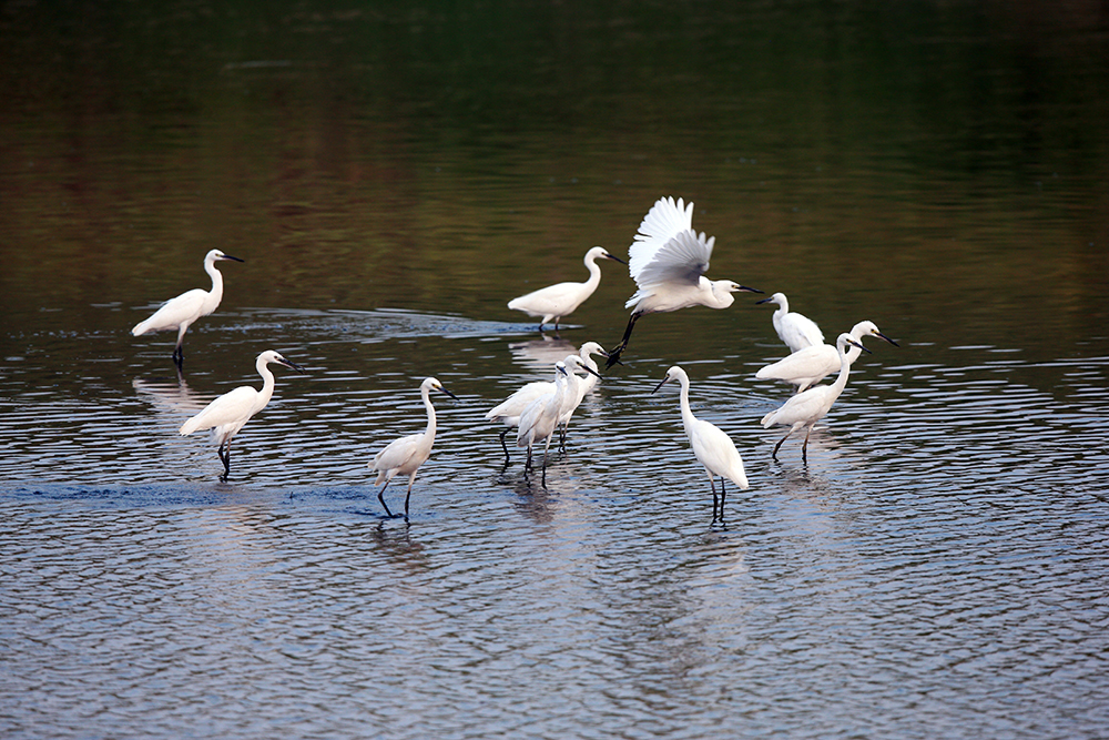 H46R1542 - ����.jpg