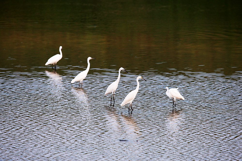 H46R1602 - ����.jpg