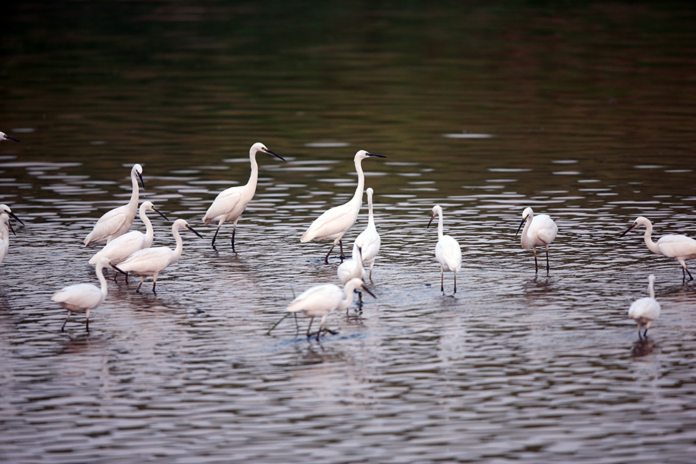 H46R3030 - ����.jpg