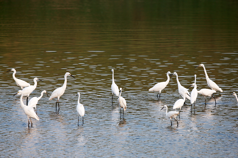 H46R1295 - ����.jpg