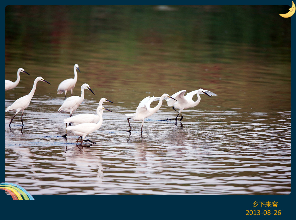 5_���� - ����.jpg