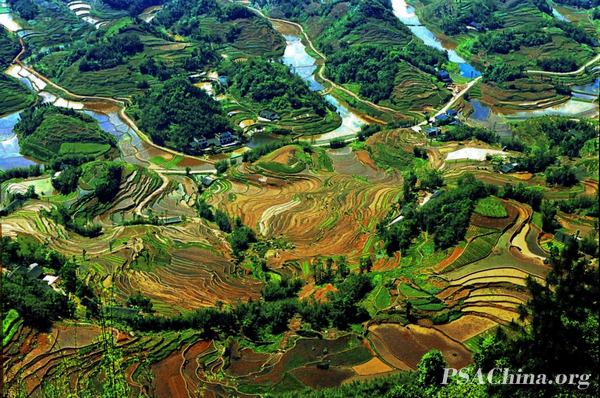 09.��Ծ��Ʒ����������԰��Jing Xiu pastoral.jpg