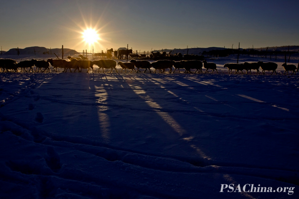 13.��ǿ��Ʒ�����ؼҵ���Ⱥ��Go Home.jpg